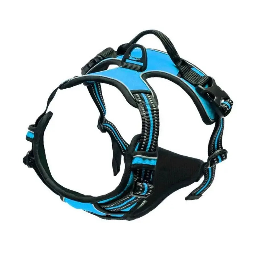 Kit de chaleco y correa para perros Comfort Fit