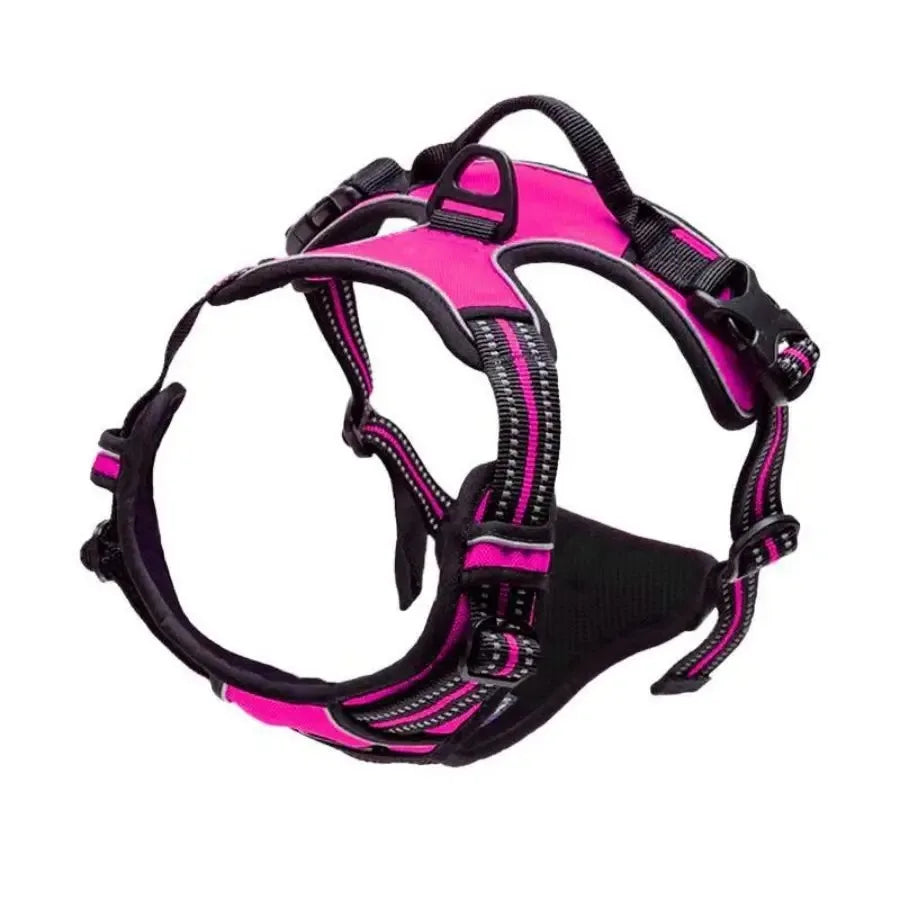 Kit de chaleco y correa para perros Comfort Fit