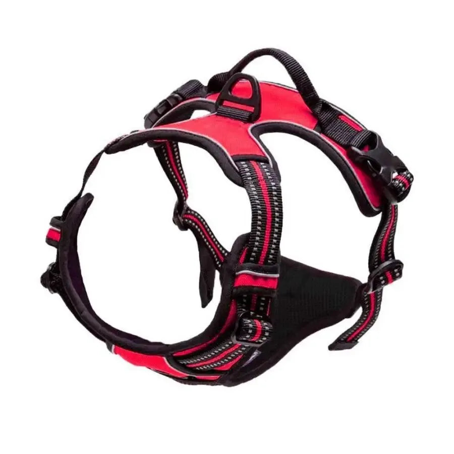 Kit de chaleco y correa para perros Comfort Fit