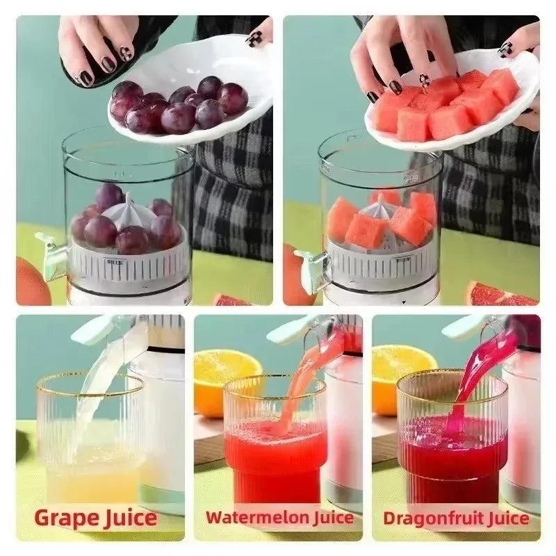 FruitFlow Automatic Juicer