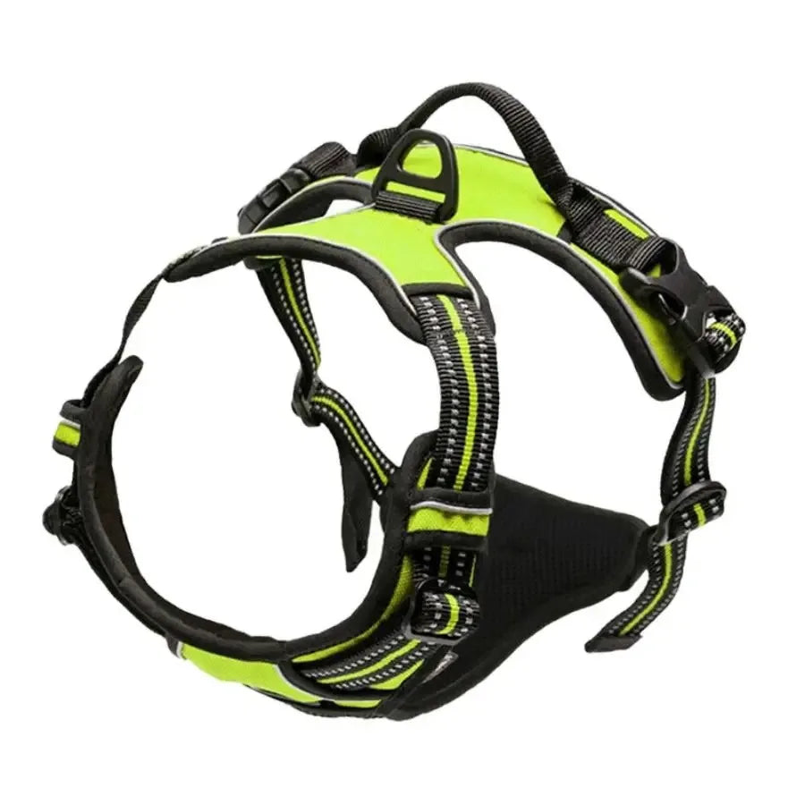 Kit de chaleco y correa para perros Comfort Fit