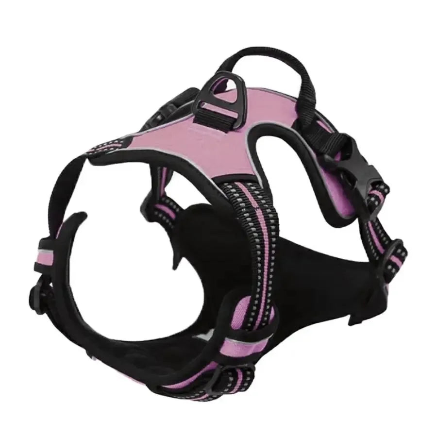Kit de chaleco y correa para perros Comfort Fit