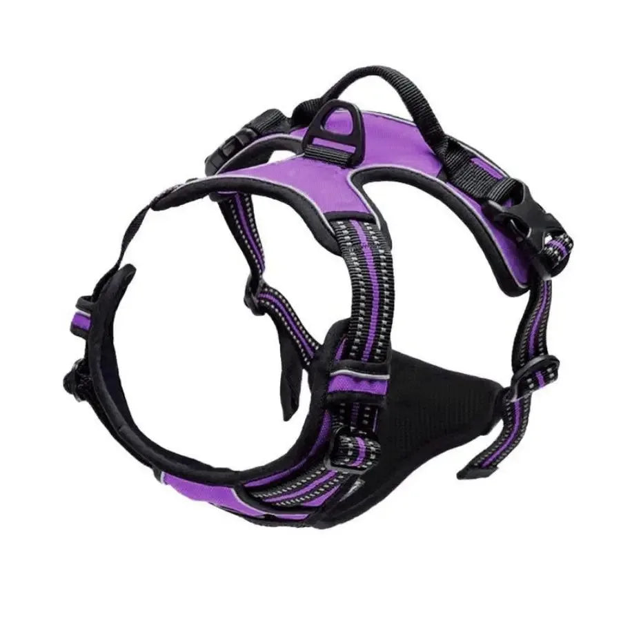 Kit de chaleco y correa para perros Comfort Fit