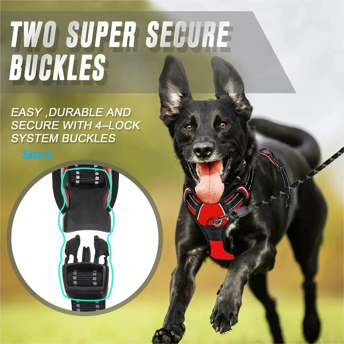 Kit de chaleco y correa para perros Comfort Fit