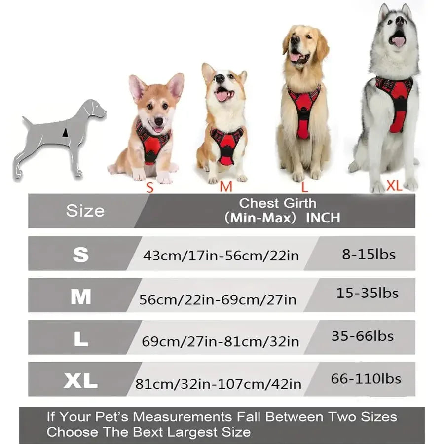 Kit de chaleco y correa para perros Comfort Fit