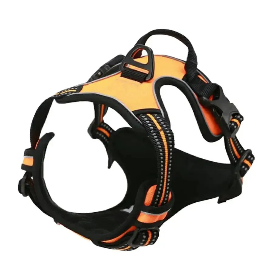 Kit de chaleco y correa para perros Comfort Fit