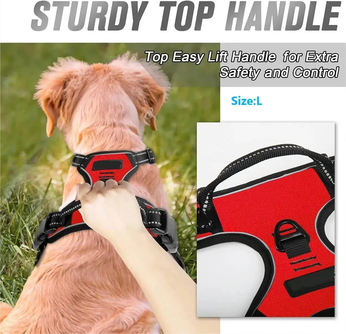 Kit de chaleco y correa para perros Comfort Fit