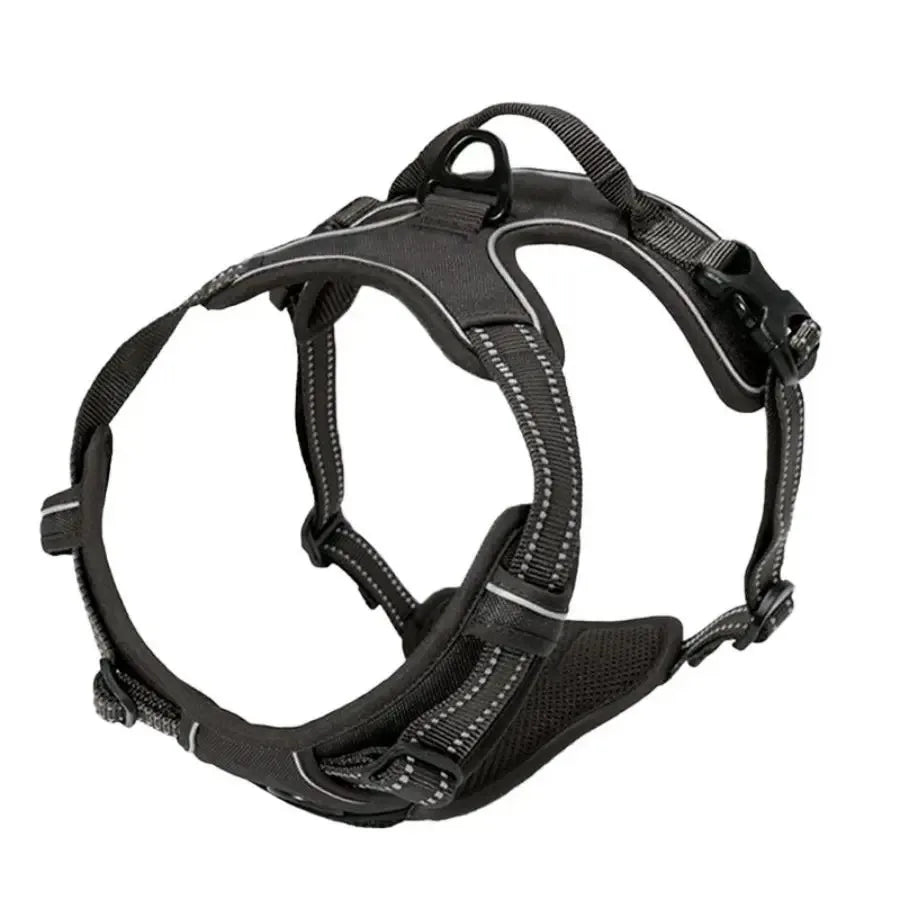Kit de chaleco y correa para perros Comfort Fit