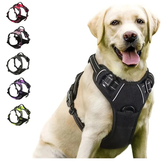 Comfort Fit Dog Vest and Leash Kit