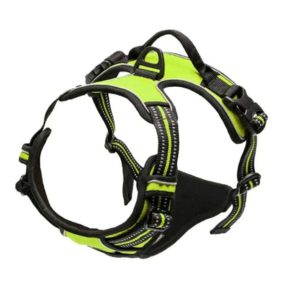 Kit de chaleco y correa para perros Comfort Fit