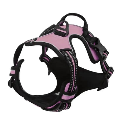 Kit de chaleco y correa para perros Comfort Fit