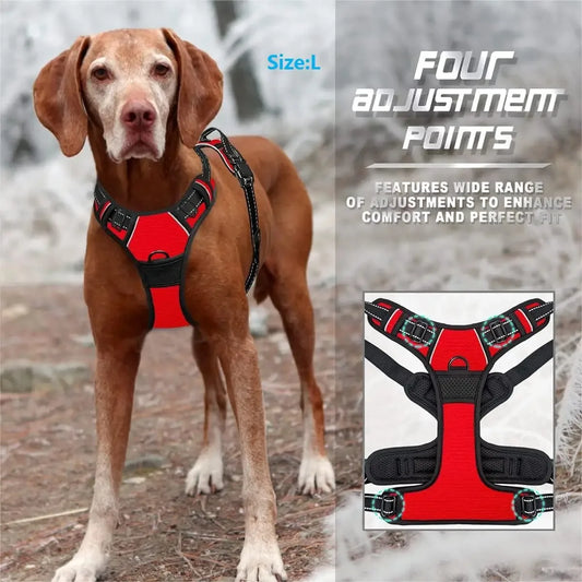 Comfort Fit Dog Vest and Leash Kit